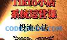 TikTok小店系统运营课：Allen-TK投流技法全攻略，包括广告命名 扩量手法及市场运营方法