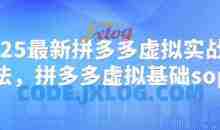 2025最新拼多多虚拟实战打法，拼多多虚拟基础sop