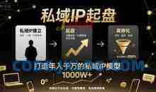 私域IP起盘，私域ip建立、起盘、高转化，打造年入千万的私域ip模型