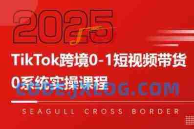 大亿老师TikTok跨境0-1短视频带货,系统拆解TikTok跨境带货全链路,实现跨境可持续盈利 大亿老师TikTok跨境0-1短视频带货,系统拆解TikTok跨境带货全链路,实现跨境可持续盈利