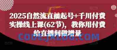 2025自然流直播起号+千川付费实操线上课(62节),教你用付费给直播间做增量 2025自然流直播起号+千川付费实操线上课(62节),教你用付费给直播间做增量