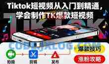 Tiktok短视频从入门到精通，学会制作TK爆款短视频