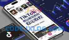 TikTok搬运解说教程，稳定收益，操作简单易懂，批量可做，持续稳定