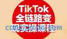 小杨老师·TikTok全链路变现实操课程，全方位助力学员掌握TK变现技能