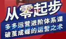 海神·拼多多运营进阶系统课，从零起步，多多运营进阶体系课，破茧成蝶的运营之术