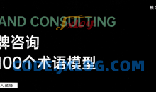 品牌咨询的100个术语模式