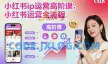 小红书IP运营高阶课，小红书运营全流程