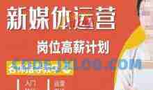 新媒体运营高薪升核培养计划，入门-转行-进阶