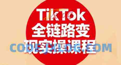 小杨老师·TikTok全链路变现实操课程,全方位助力学员掌握TK变现技能 小杨老师·TikTok全链路变现实操课程,全方位助力学员掌握TK变现技能