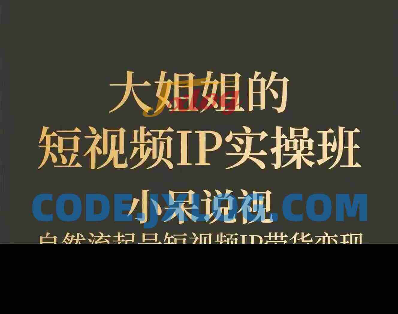 大姐姐的短视频IP带货实操班 大姐姐的短视频IP带货实操班