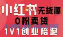 爱野佩佩小红书无货源0粉电商课，开店准备、选品策略、笔记撰写、视频剪辑、数据分析、账号打造、资料文档