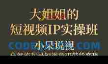 大姐姐的短视频IP带货实操班