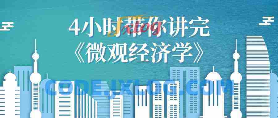 4小时带你讲完《微观经济学》