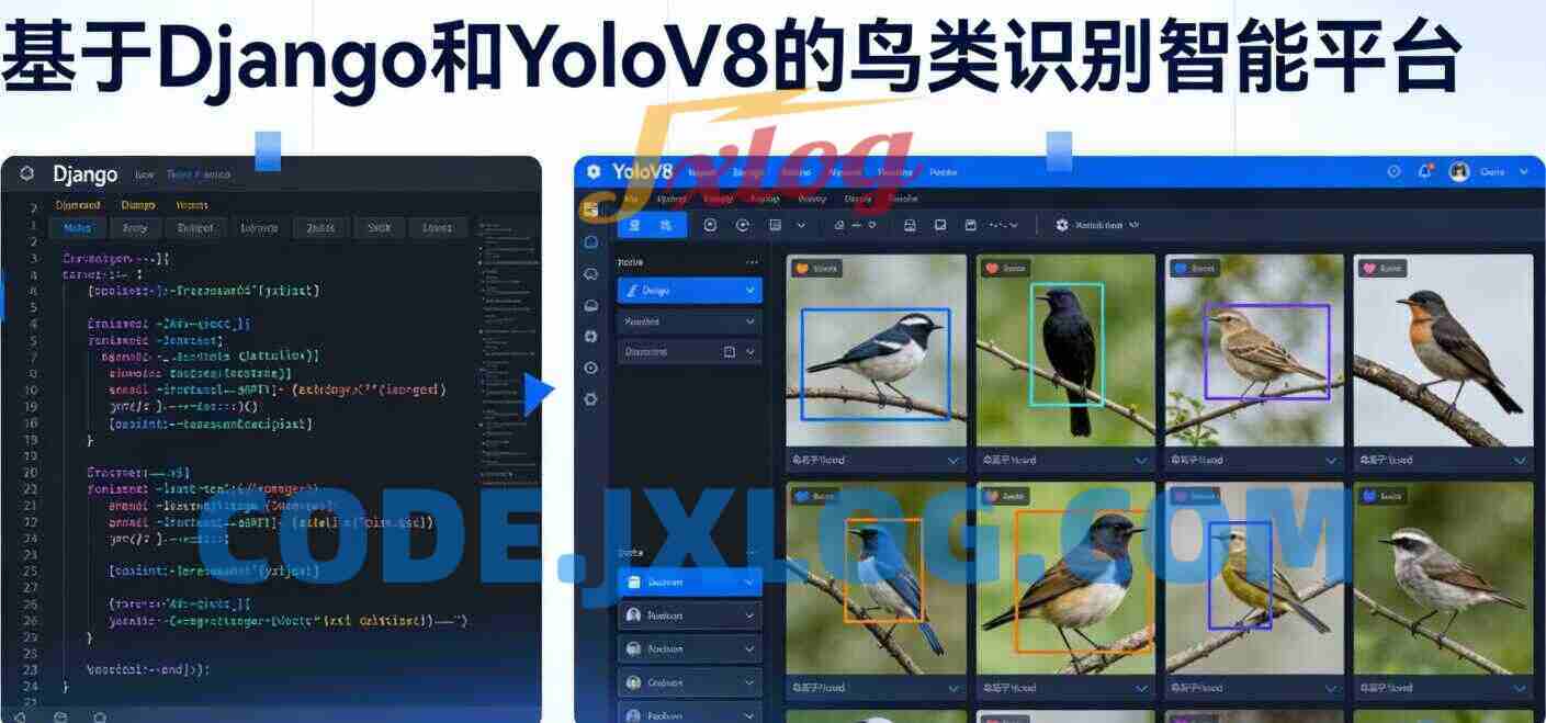 计算机视觉项目课:基于Django和YoloV8的鸟类识别智能平台 计算机视觉项目课:基于Django和YoloV8的鸟类识别智能平台
