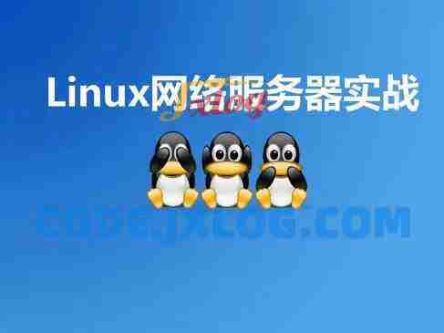 Linux网络服务器实战视频课价值399元