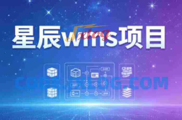 星辰wms项目