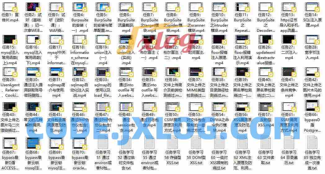 最新WEB渗透安全测试工程师 实战就业班 价值4.5k