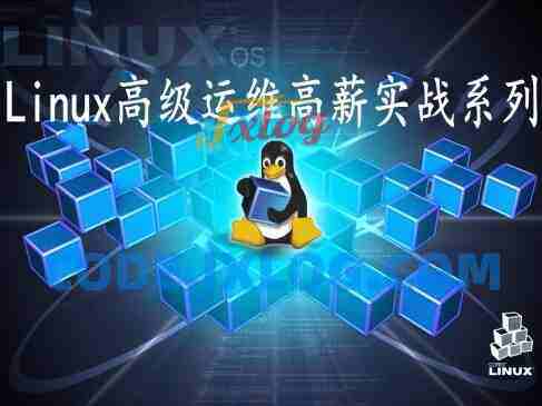 Linux视频教程之高级运维企业实战(高级版) Linux视频教程之高级运维企业实战(高级版)
