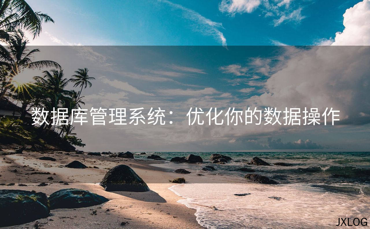 数据库管理系统：优化你的数据操作