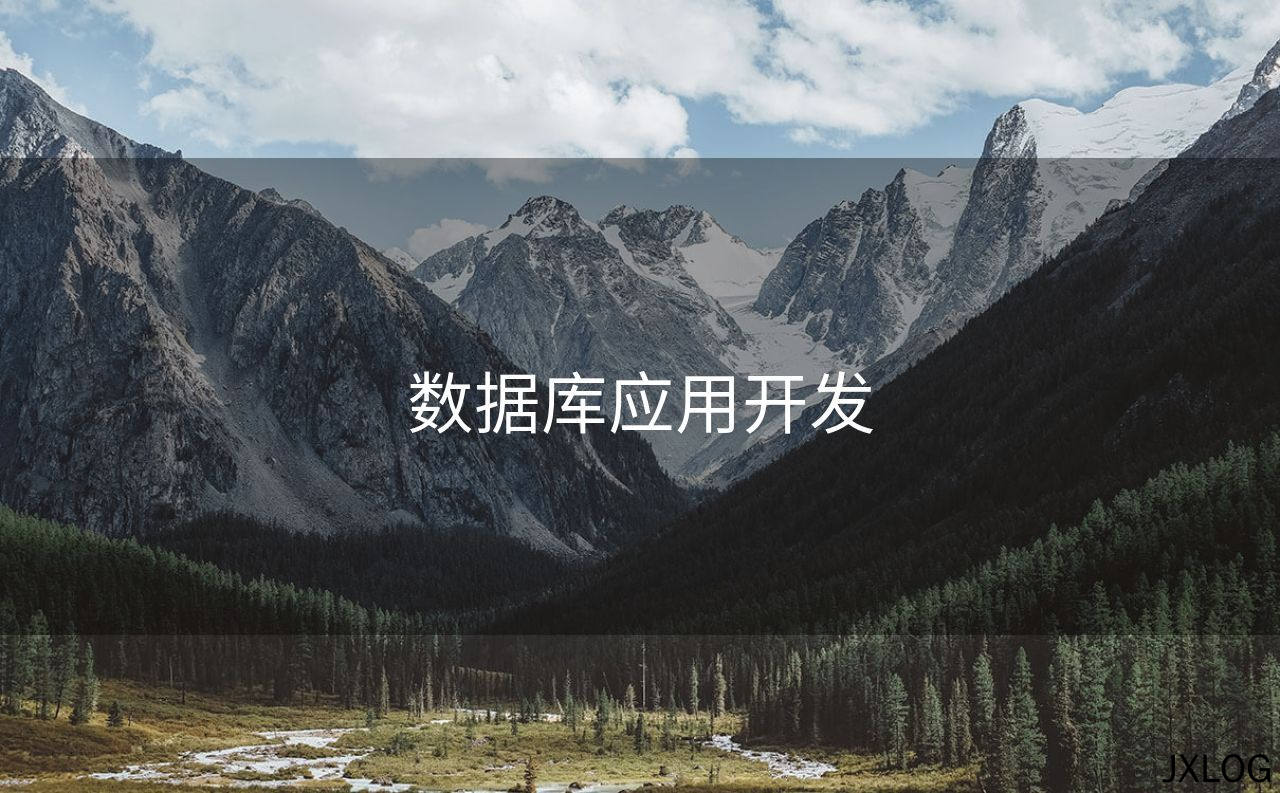 数据库应用开发