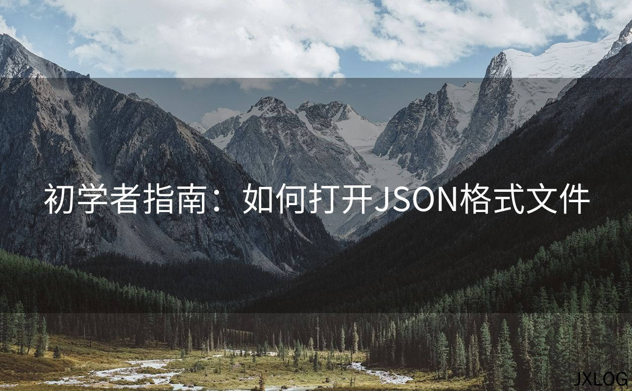 初学者指南：如何打开JSON格式文件