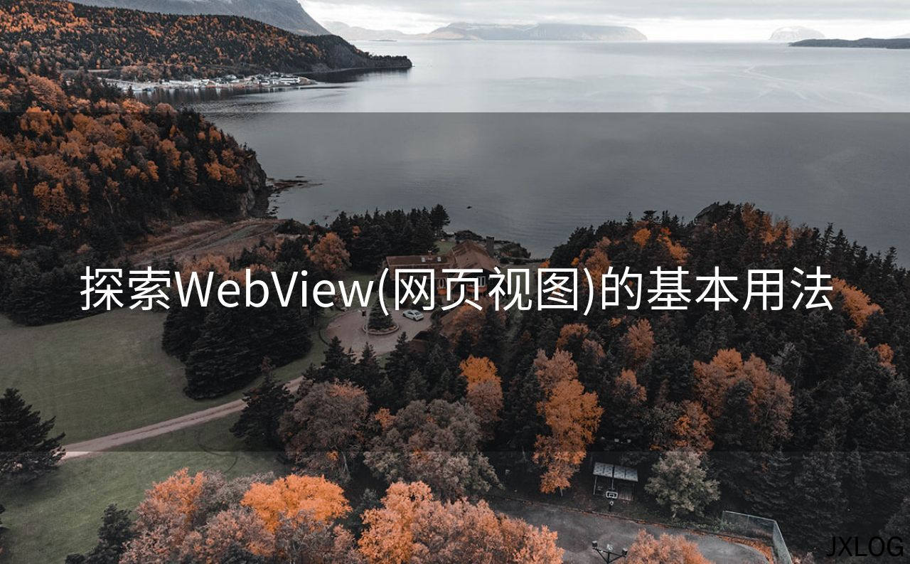 探索WebView(网页视图)的基本用法