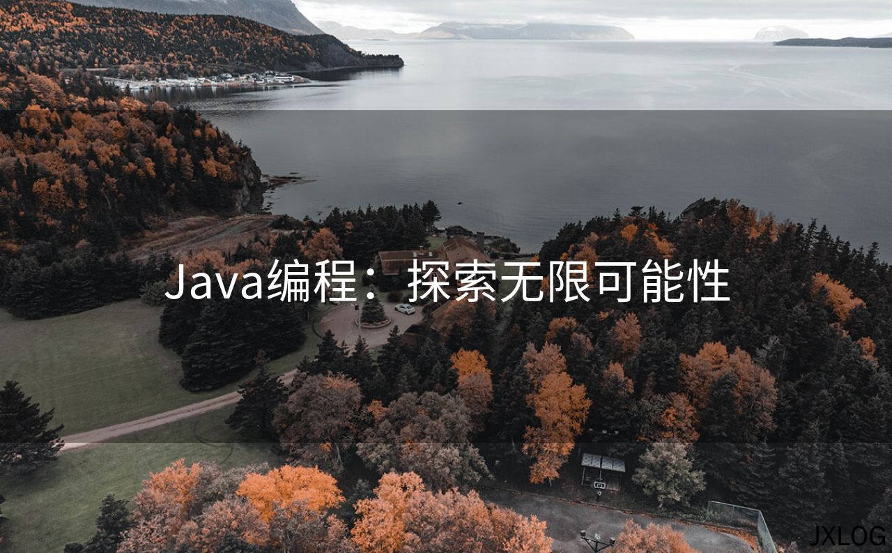 Java编程：探索无限可能性