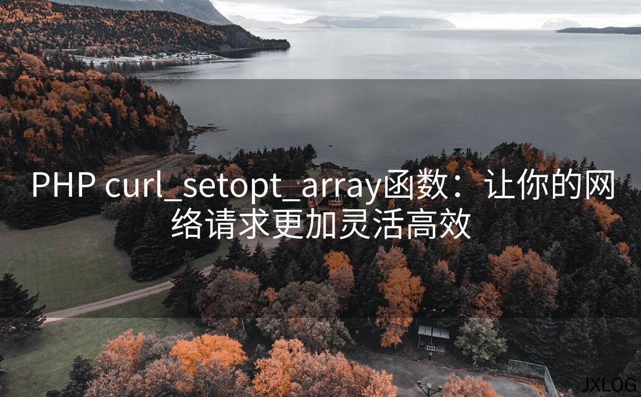 PHP curl_setopt_array函数：让你的网络请求更加灵活高效