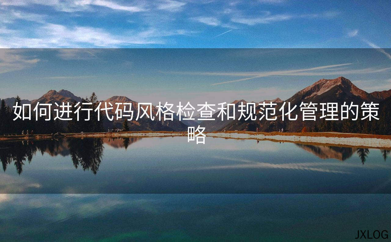 如何进行代码风格检查和规范化管理的策略